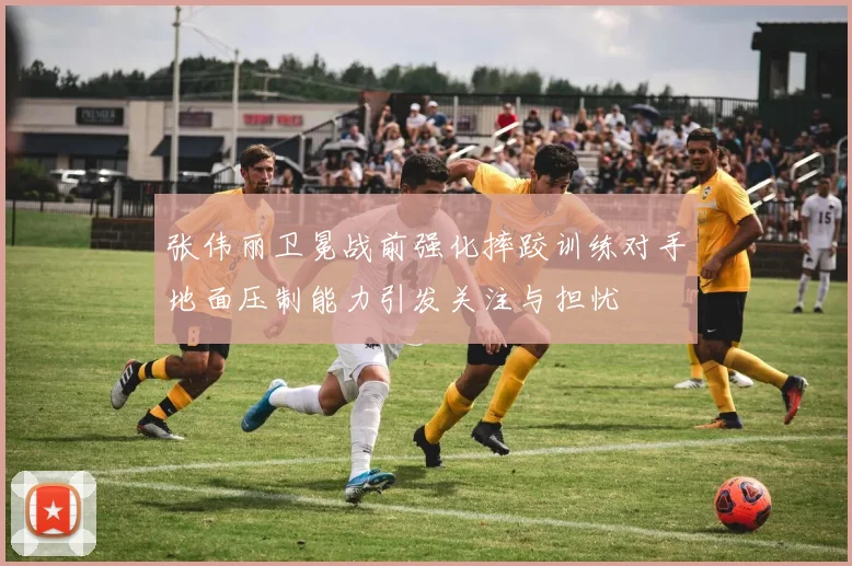 张伟丽卫冕战前强化摔跤训练对手地面压制能力引发关注与担忧